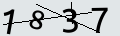 verifycode